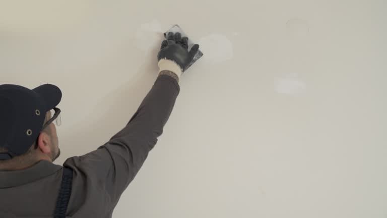 Best Fire-Damaged Drywall Repair  in Embreeville, TN